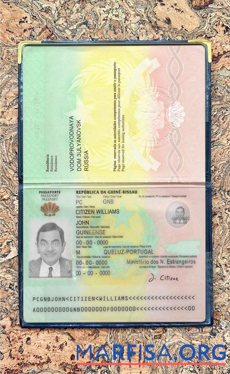 Blank Guinea Bissau passport photo look template